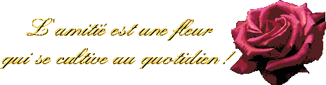 Fleur de l'amiti�