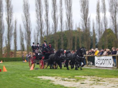 Bel attelage tout de noir et liser� rouge