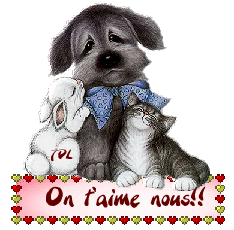 Soi pas jalouse Belphy