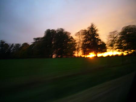 couch� de soleil entre les arbres