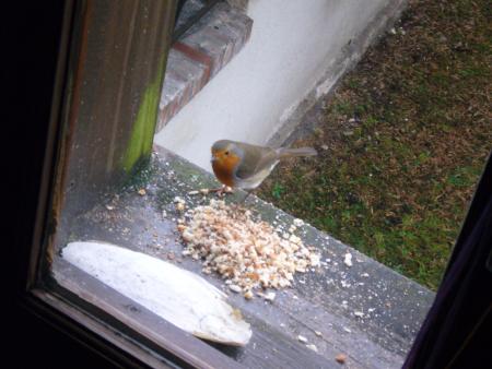 il se decide enfin a manger